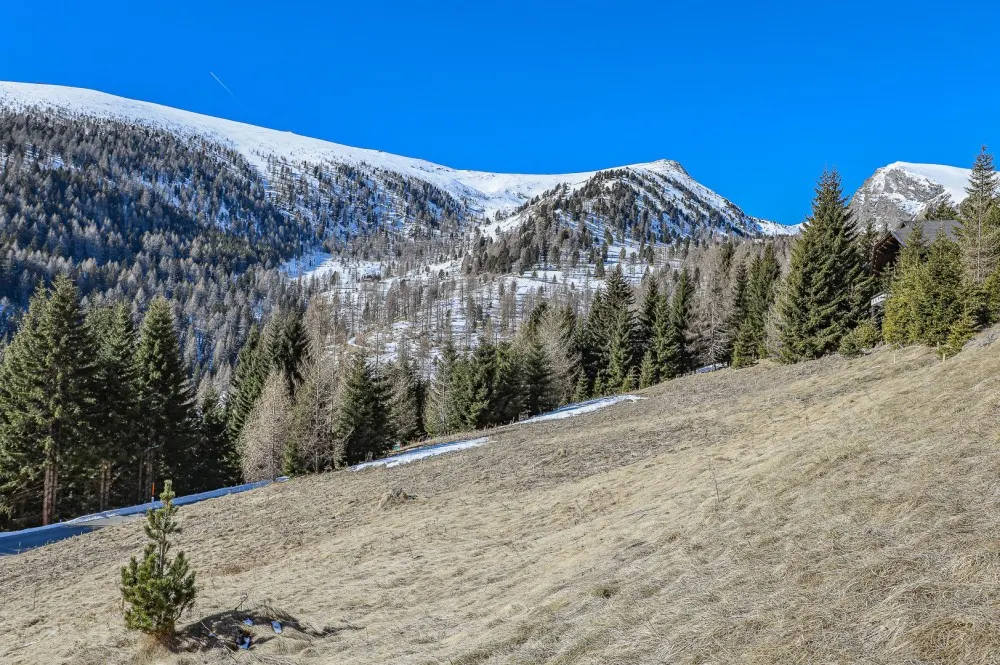 KITZIMMO-exklusives Almchalet 1 in Toplage kaufen - Immobilien Falkertsee Kärnten.