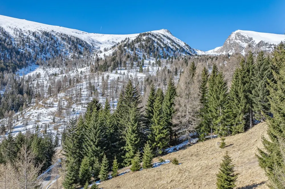 KITZIMMO-exklusives Almchalet 1 in Toplage kaufen - Immobilien Falkertsee Kärnten.