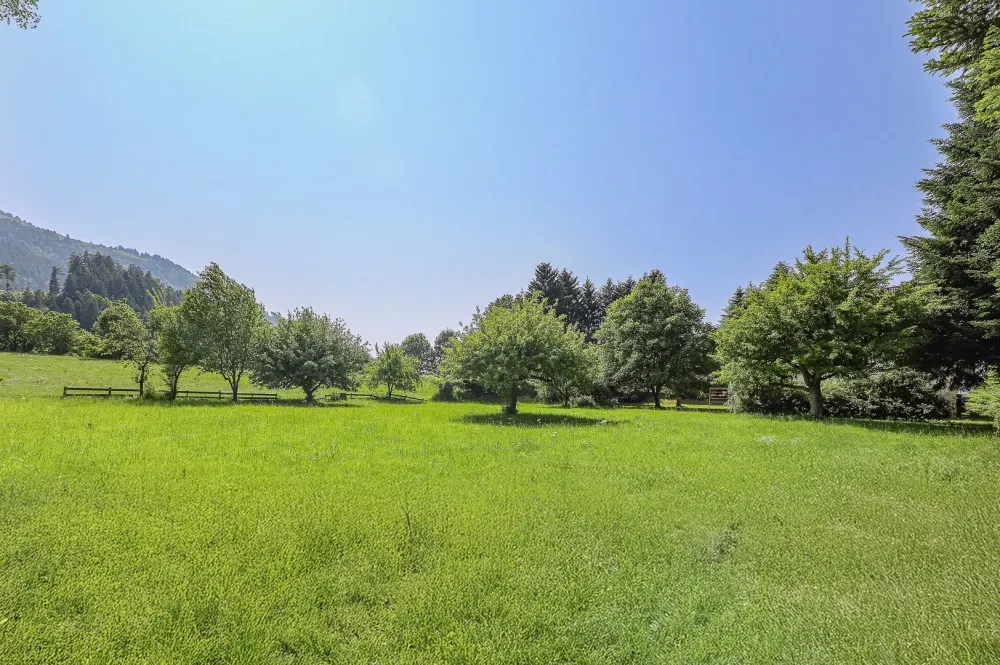 KITZIMMO-Idyllisches 3.491 m² Freilandgrundstück mit Altbestand kaufen - Immobilien Wörgl.