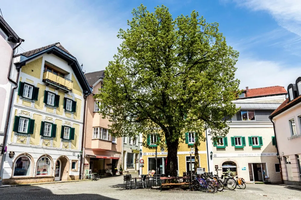 KITZIMMO-Luxusapartment in Villenviertel kaufen - Immobilien Gmunden.