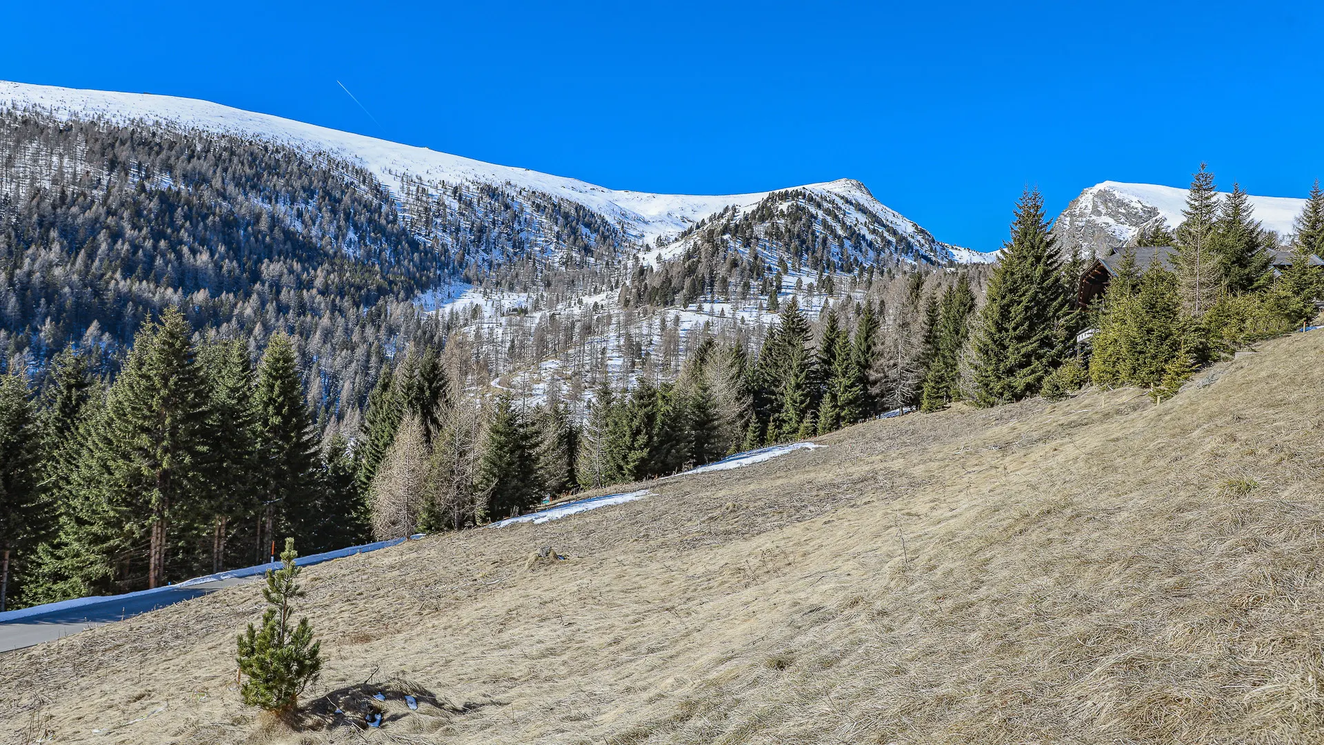 KITZIMMO-exklusives Almchalet 1 in Toplage kaufen - Immobilien Falkertsee Kärnten.