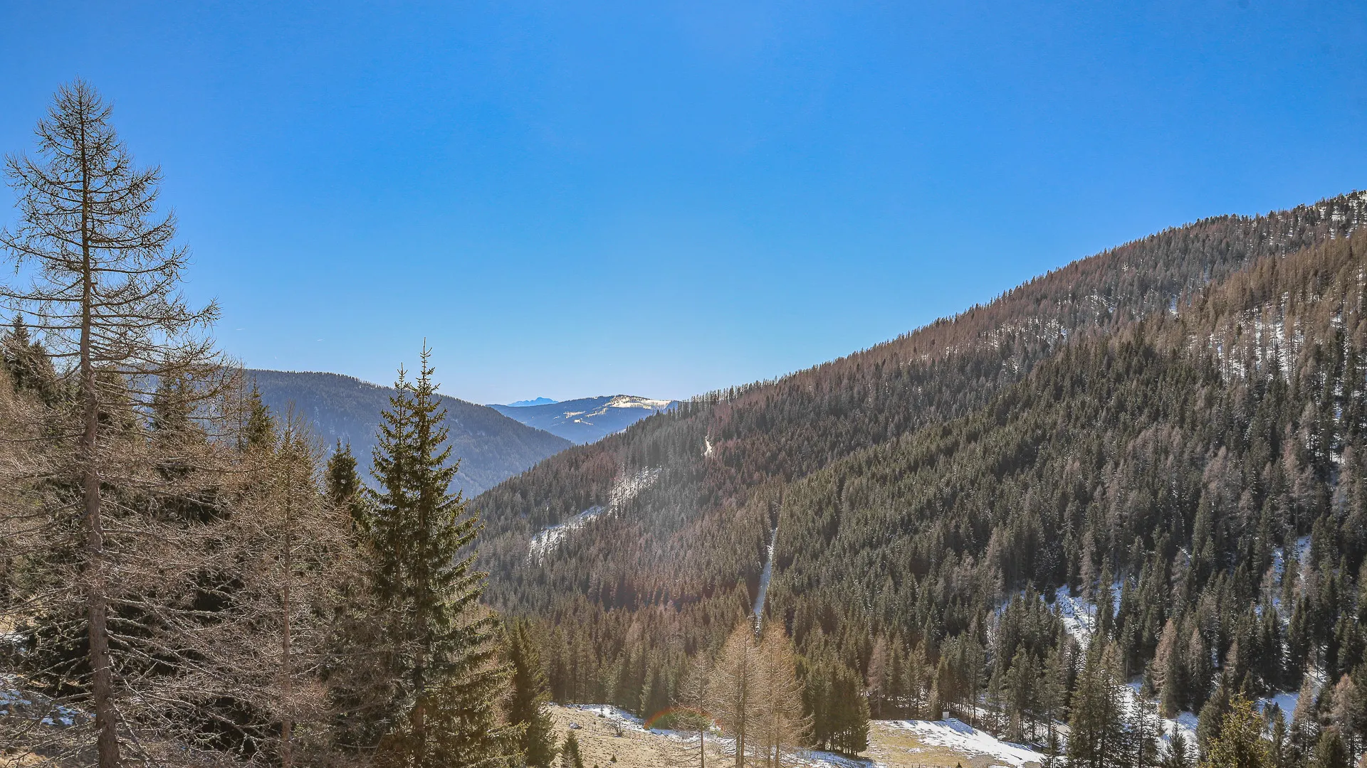 KITZIMMO-exklusives Almchalet 1 in Toplage kaufen - Immobilien Falkertsee Kärnten.